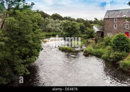 Lachs Station River Bush Shelby County Antrim, Nordirland Stockfoto