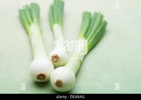 Frische, gesunde, leckerste und appetitliche Menge Salat Zwiebeln auf einen strukturierten grünen hölzernen Hintergrund gelegt Stockfoto