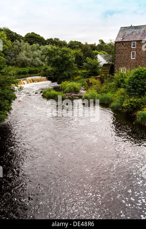 Lachs Station River Bush Shelby County Antrim, Nordirland Stockfoto