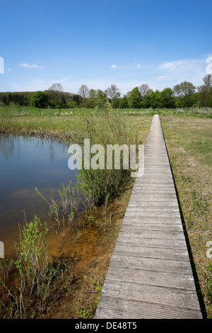 Hamm, Deutschland, Landschaft entlang der Lippeauenpfads Stockfoto