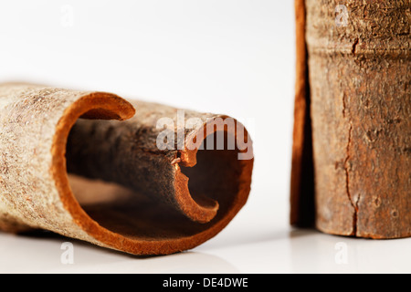 Ganze Zimtstangen in eine kreative abstrakt vor einem weißen Hintergrund gedreht Stockfoto