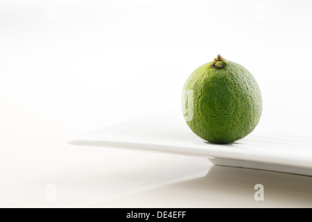 Eine frische Bio Kalk Schuss in eine kreative abstrakt vor einem weißen Hintergrund Stockfoto