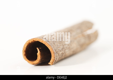 Ganze Zimtstangen in eine kreative abstrakt vor einem weißen Hintergrund gedreht Stockfoto