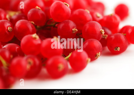 Frische Bio rote Johannisbeeren abstrakt auf einer weißen keramischen Oberfläche geschossen Stockfoto