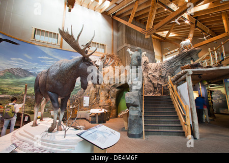 Besucherzentrum am Denali Nationalpark und Reservat, Alaska, Vereinigte Staaten von Amerika Stockfoto