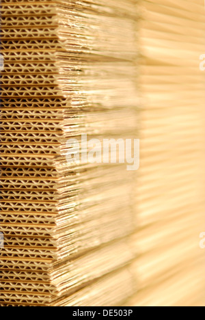 Karton, flachen Schärfentiefe Stockfoto