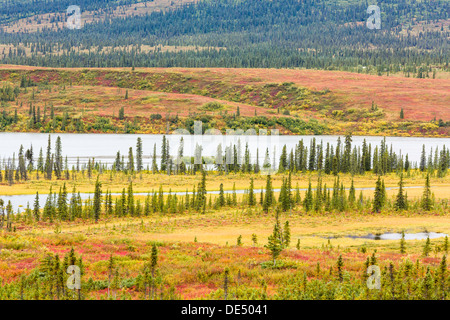 Die Susitna River Valley und Höhepunkt im Herbst Farben und Fichte Bäume auf dem Denali Highway in Alaska Yunan. Stockfoto