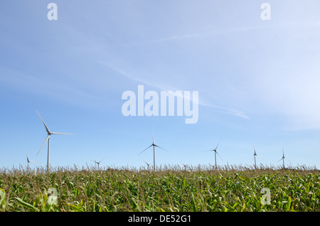 Windmühlen in einem Kornfeld Stockfoto