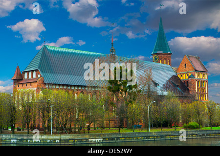 Kathedrale in Kaliningrad Stockfoto