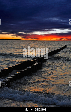 Buhnen am Ostseestrand vor Sonnenuntergang Ahrenshoop, Ahrenshoop, Darß, Ostsee, Mecklenburg-Western Pomerania, Deutschland Stockfoto