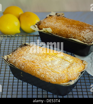 Köstliche goldene frisch gebackene Zitronenkuchen in einem Ofen Pfanne abkühlen auf einem Metallgitter Stockfoto