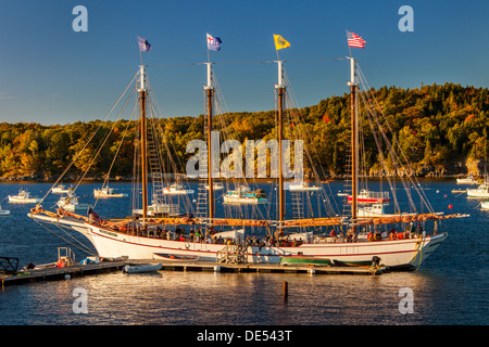 Der Schoner Margaret Todd sammelt ihre Passagiere für einen Abend Sonnenuntergangstour, Bar Harbor, Maine, USA Stockfoto