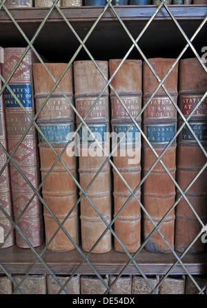 Alte antike Bücher in einer Bibliothek weggesperrt Stockfoto