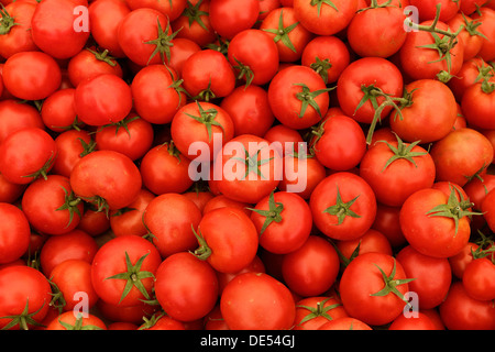 Tomaten auf eines Marktstand, wöchentliche Landwirt vermarkten, Muğla, Provinz Muğla, Ägäis, Türkei Stockfoto