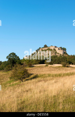 Blick auf eine grobe Alm mit dem Hegau-Vulkan und der Ruine Hohentwiel, Baden-Württemberg Stockfoto