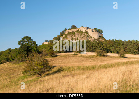 Blick auf eine grobe Alm mit dem Hegau-Vulkan und der Ruine Hohentwiel, Baden-Württemberg Stockfoto