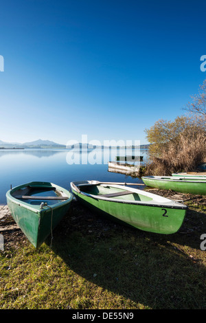 Ruderboote am Ufer des Hopfensee See in der Nähe von Füssen, Ostallgaeu Region, Allgäu, Bayern Stockfoto