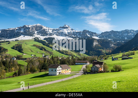 Grüne Weiden im Appenzellerland vor dem schneebedeckten Appenzeller Alpen, Kanton Appenzell-Innerrhoden, Switzerland Stockfoto