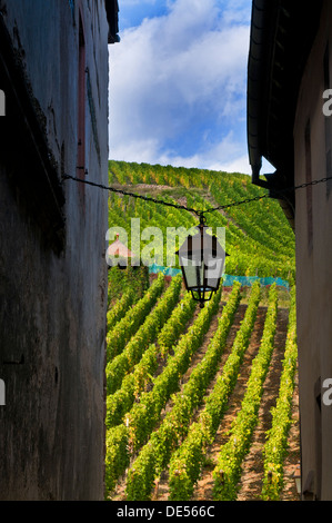 Alte Laterne hängen zwischen den Gebäuden im mittelalterlichen Dorf von Riquewihr mit Weinbergen hinter Elsass Frankreich Stockfoto