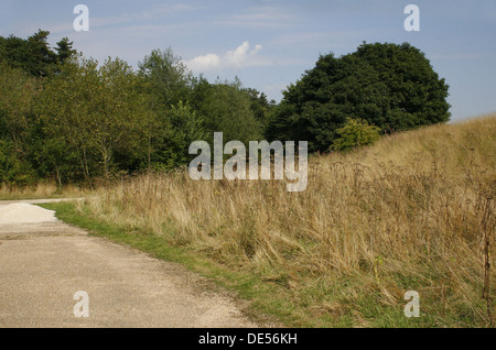 Rasen Sie bedeckten Hügel. Creswell Crags, Welbeck, Worksop, Nottinghamshire, UK Stockfoto