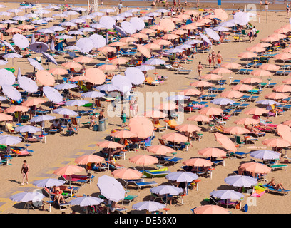 Blick auf den Strand mit Sonnenschirmen und Liegestühlen, Lignano Sabbiadoro, Udine, Adria, Italien, Europa Stockfoto