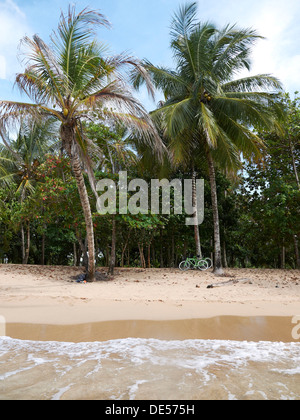 Einsamen Strand, Punta Uva, Puerto Viejo de Talamanca, Costa Rica, Mittelamerika Stockfoto