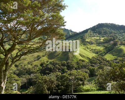 Grüne Bergwald, Ricòn De La Vieja Nationalpark, Provinz Guanacaste, Costa Rica, Mittelamerika Stockfoto