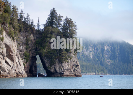 Holgate Arm Aialik Bay, Kenai-Fjords-Nationalpark, Alaska, Vereinigte Staaten von Amerika Stockfoto