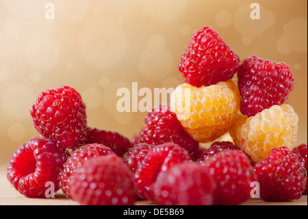 leuchtend rote und Goldene Himbeere Früchte in Haufen Stockfoto