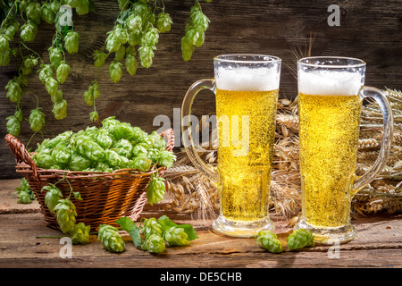Kaltes Bier, umgeben von Hopfen-Zapfen Stockfoto