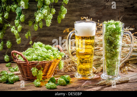 Ernte Hopfen und Weizen für frische hausgemachte Bier Stockfoto