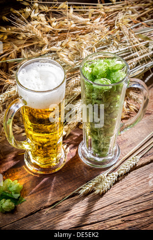 Goldene Bier mit einem großen Schaum Stockfoto