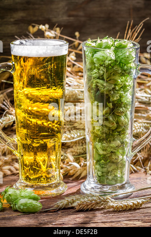 Ähren in den goldenen frisches Bier Stockfoto