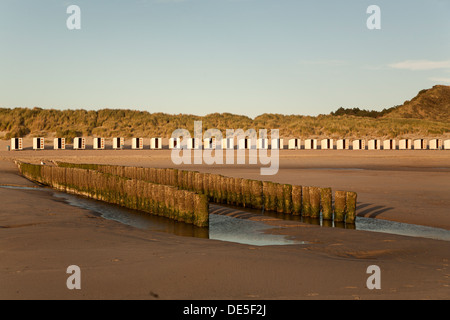 Strand von Westenschouwen im Hinblick auf die Einstellung Sonne, Schouwen-Duiveland, Zeeland, Niederlande Stockfoto