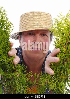 Glücklich weibliche senior Gärtner Stroh Hut durch Thuja Bäume suchen Stockfoto