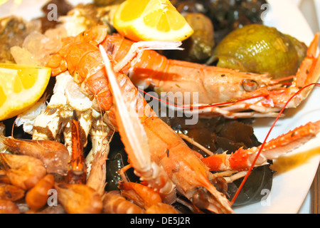 Teller mit Meeresfrüchten in einem französischen Restaurant restaurant Stockfoto