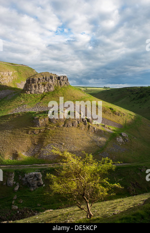 Ein Blick auf Peters Stein in Cressbrook Dale mit Weißdorn Bush im Vordergrund, Peak District, Derbyshire Stockfoto