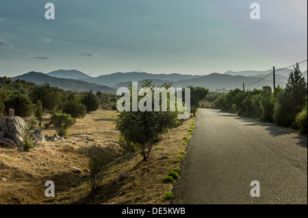 Straßen- und macht Linie auf Sardinien Stockfoto