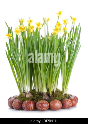 Ostereier und paar frische Garten Narzissen auf weißem Hintergrund Stockfoto