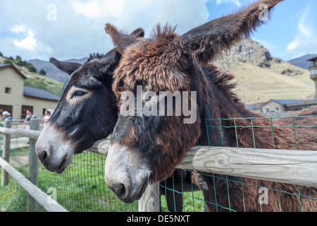 Vall de Nuria, Katalonien, Spanien Stockfoto