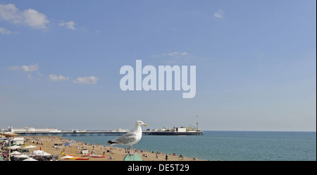 Ansicht von Seagull thront auf Geländer über Brighton Strand mit Pier in Brighton East Sussex England Hintergrund Stockfoto