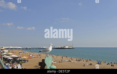 Ansicht von Seagull thront auf Geländer über Brighton Strand mit Pier in Brighton East Sussex England Hintergrund Stockfoto