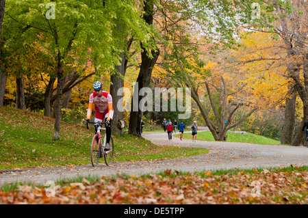 Herbst-Mount Royal Park Montreal Quebec Kanada Stockfoto