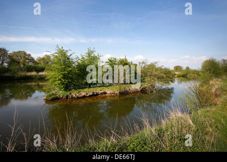 Hamm, Deutschland, Lippeaue Life-Projekt Stockfoto