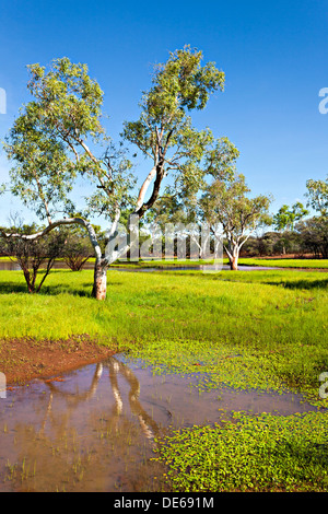 Wasser bedeckt Landschaft nach Starkregen, Pilbara-Region Nordwest Australien Stockfoto