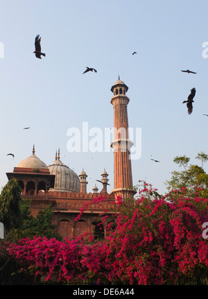 Indien, Uttar Pradesh, Old Delhi, Jamu Masjid Moschee Stockfoto