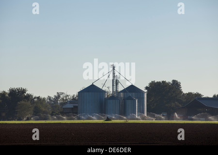 Getreidesilos und bewässerten Wiesen im Tal Limpopo river Stockfoto