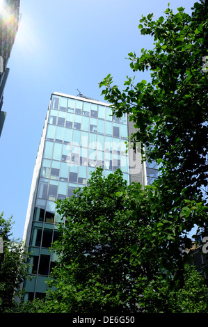 21. Jahrhundert Glasbau an Fenchurch in der City of London, umrahmt von blauem Himmel und grünen Bäumen Stockfoto