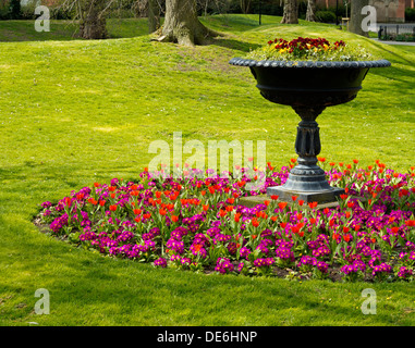 Frühling Blumen in Derby Arboretum in Derby City Centre England UK eine der ersten öffentlichen Parks in Großbritannien und eröffnet im Jahr 1840 Stockfoto