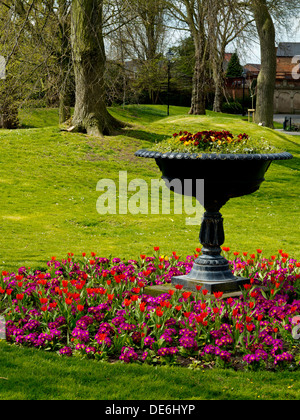 Frühling Blumen in Derby Arboretum in Derby City Centre England UK eine der ersten öffentlichen Parks in Großbritannien und eröffnet im Jahr 1840 Stockfoto